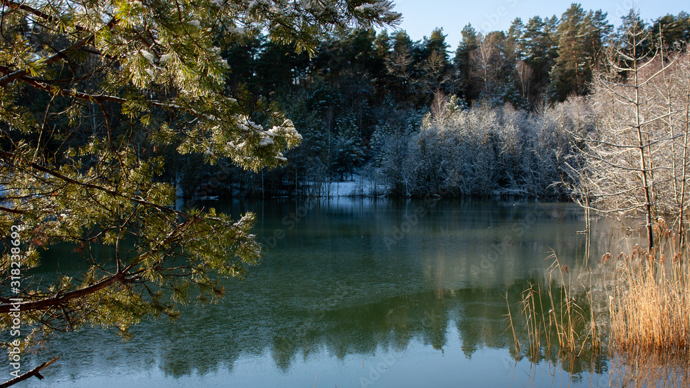 Belarus. The surroundings of Grodno. A green lake with snowy shores and trees on the shore Belarus. The surroundings of Grodno. A green lake with snowy shores and trees on the shore