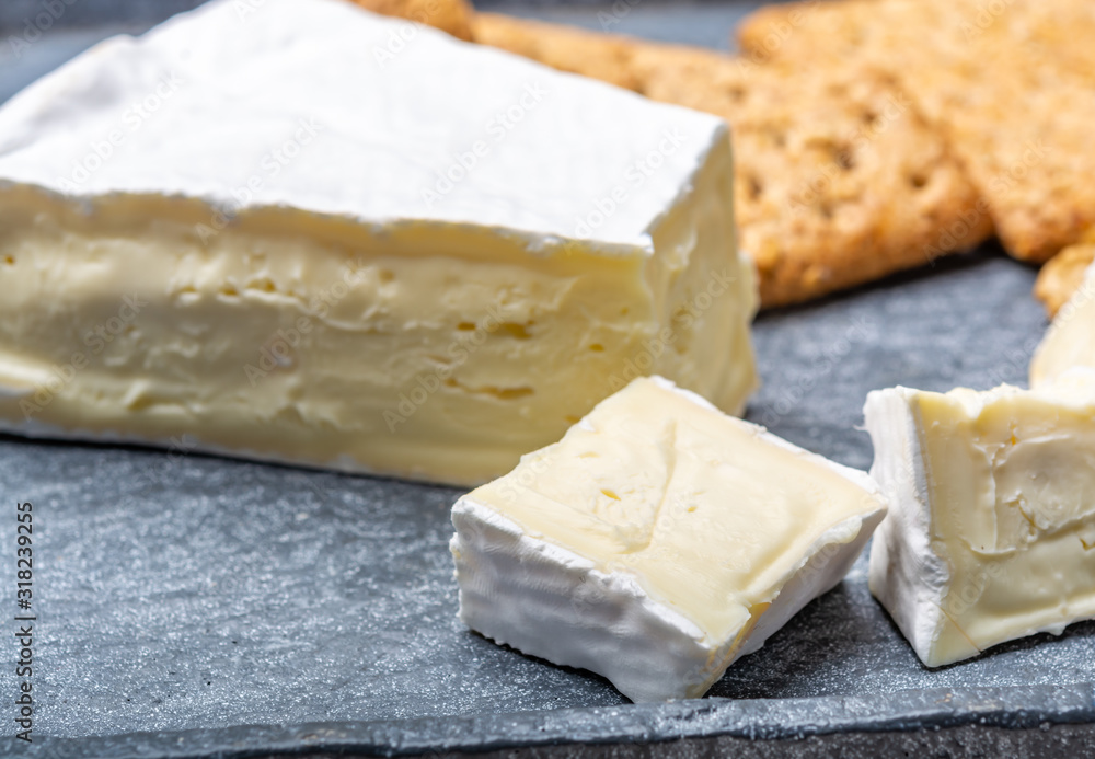 Cheese collection, piece of French brie cheese with white mold Cheese collection, piece of French brie cheese with white mold