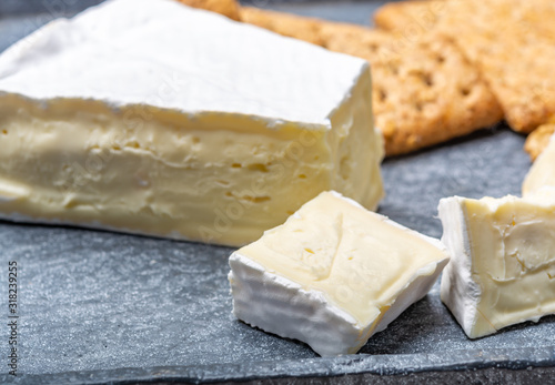 Cheese collection, piece of French brie cheese with white mold