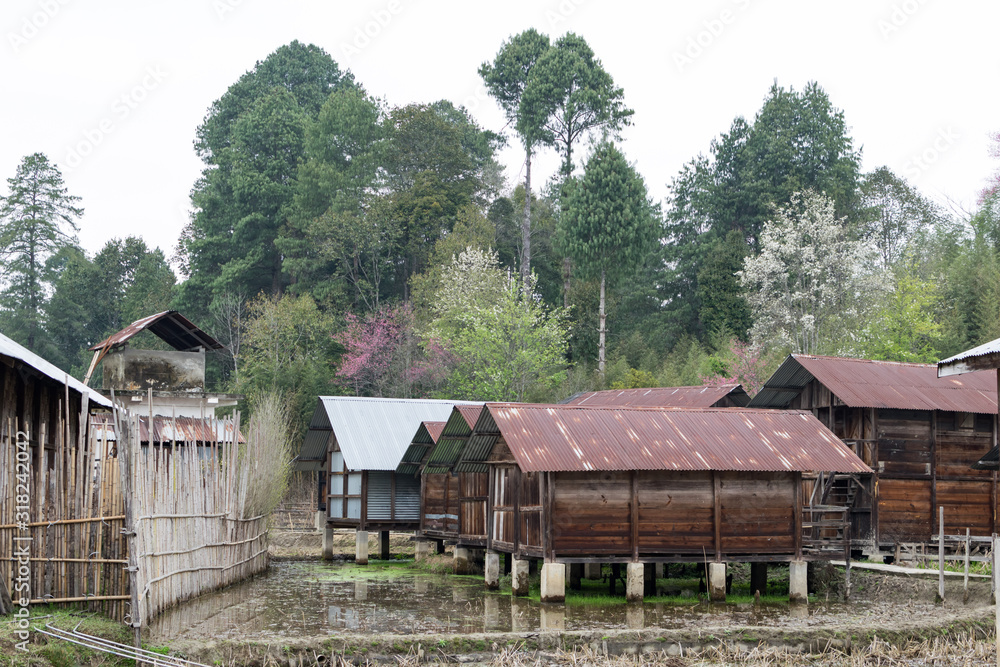 Obraz premium Traditional houses in Ziro village, India