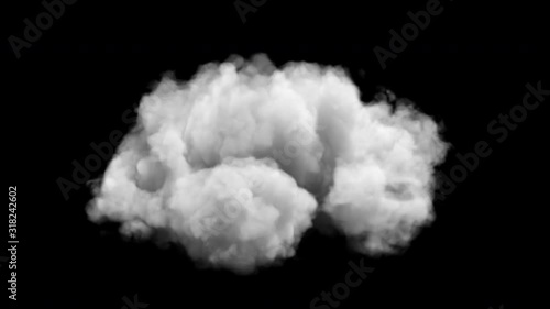 Isolated animatred cloud on transparent background