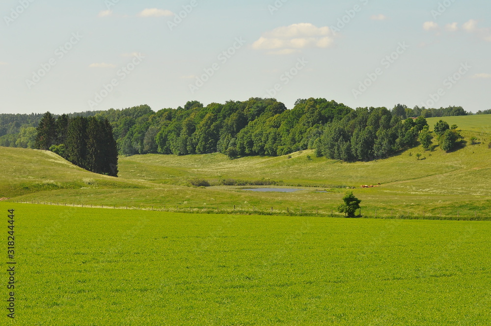 Fototapeta premium Mazury