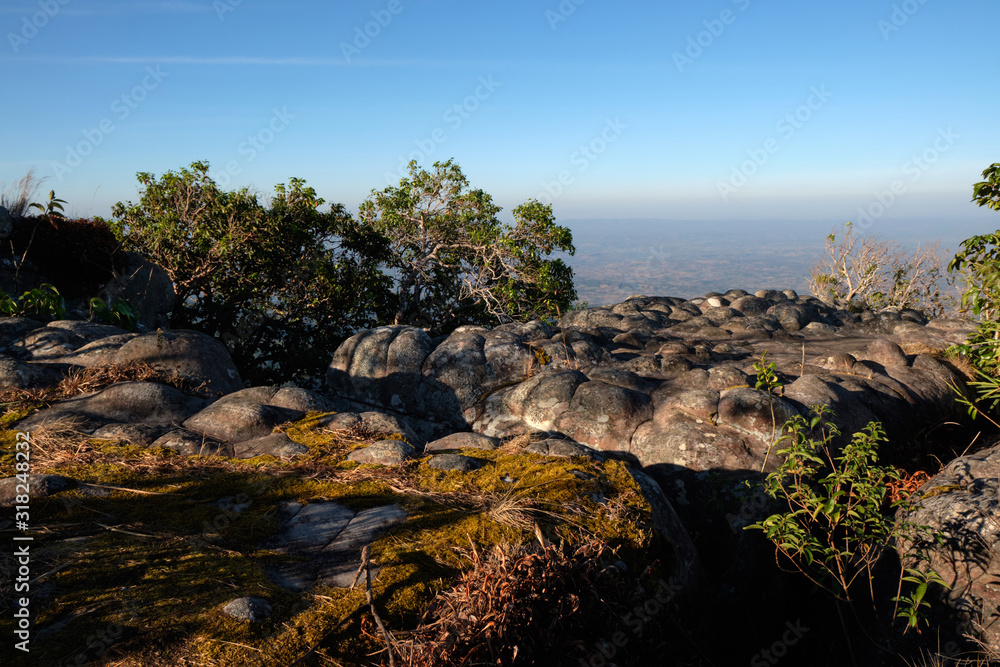 Obraz premium Green Tropical forest view from top of mountain 