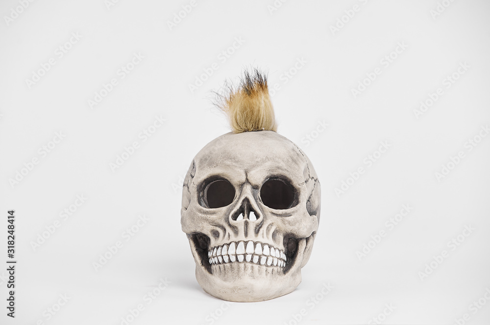 Front portrait of human punk skull on isolated white background Front portrait of human punk skull on isolated white background