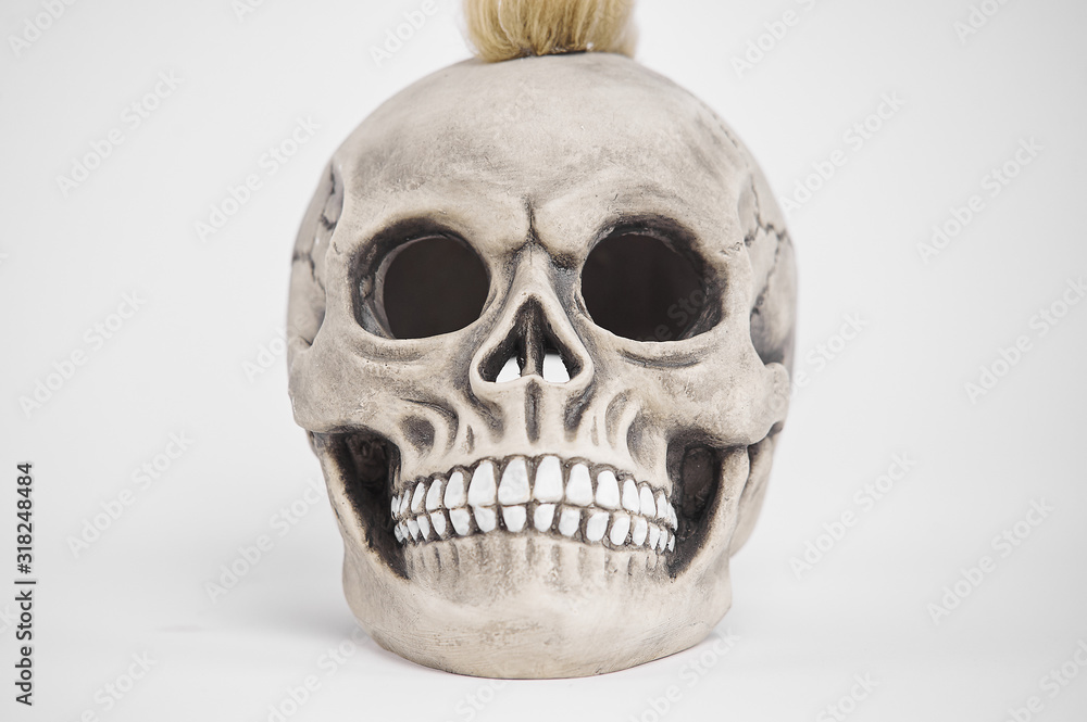 Fototapeta premium Front portrait of human punk skull on isolated white background
