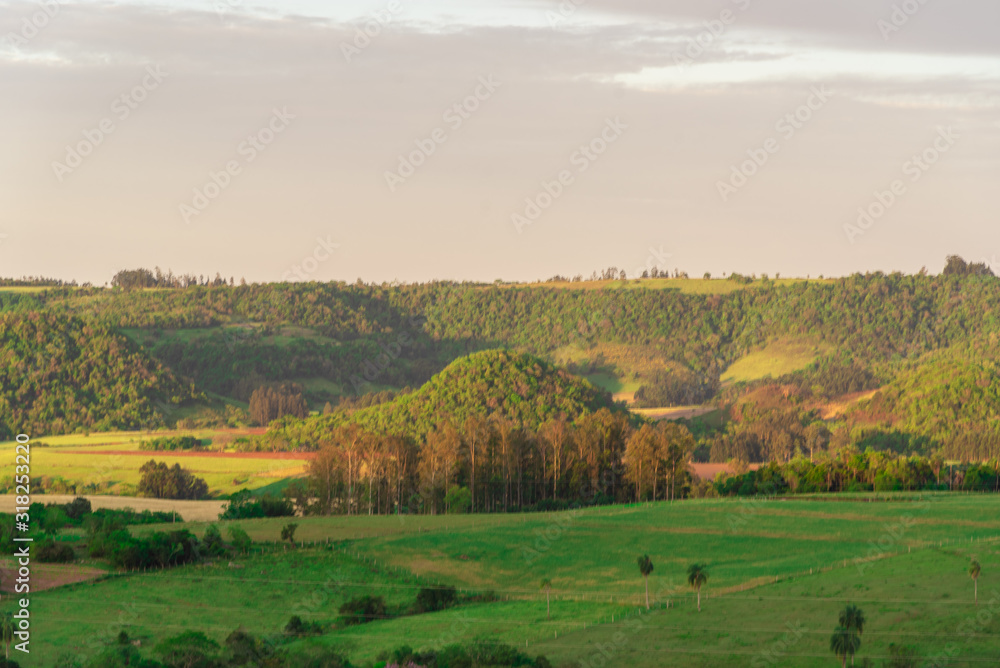Rural landscape and lavora of ryegrass grassland