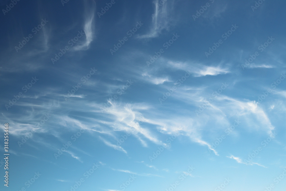 Cirrus clouds on a clear blue sky. Weather forecast. Water in a gaseous state in nature. The atmosphere of the earth. The effect of humidity on agricultural production. The symbol of freedom Cirrus clouds on a clear blue sky. Weather forecast. Water in a gaseous state in nature. The atmosphere of the earth. The effect of humidity on agricultural production. The symbol of freedom