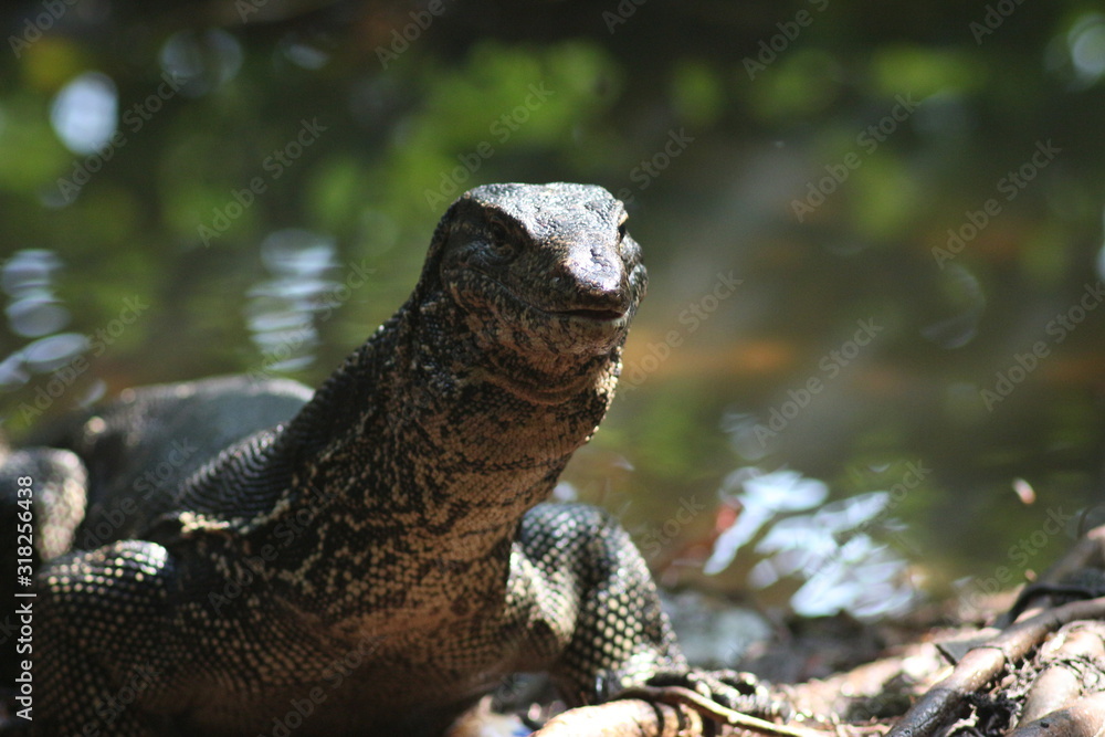 Koh Phangan Island, Surat Thani, Thailand