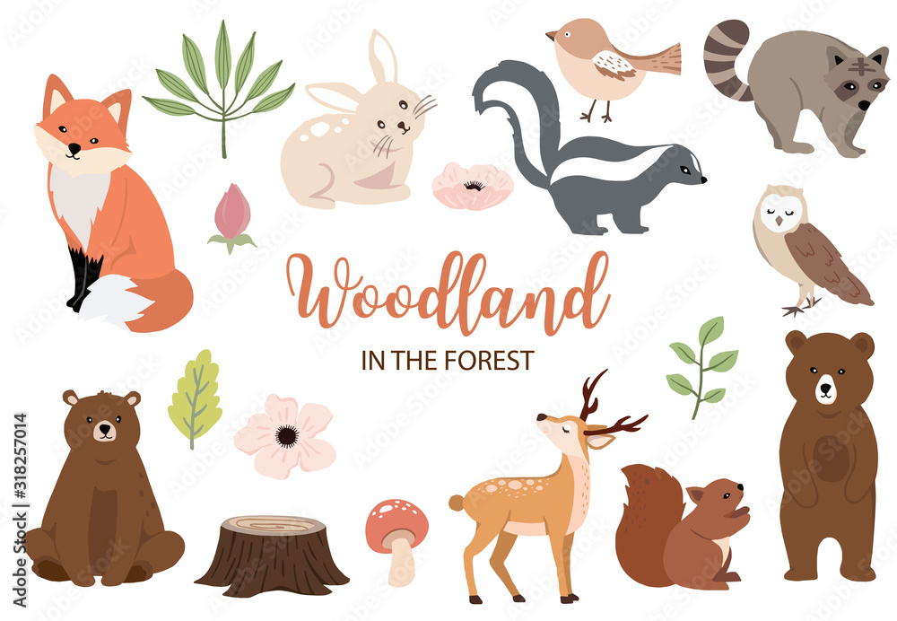 Naklejka premium Cute woodland object collection with bear,rabbit,fox,skunk,mushroom and leaves.Vector illustration for icon,logo,sticker,printable