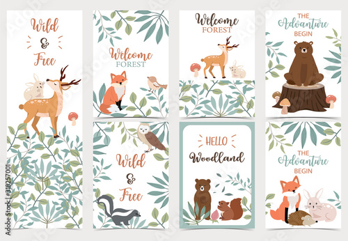 Collection of woodland background set with bear,deer,skunk,fox.Editable vector illustration for website, invitation,postcard and sticker.Wording include the adventure begin photo