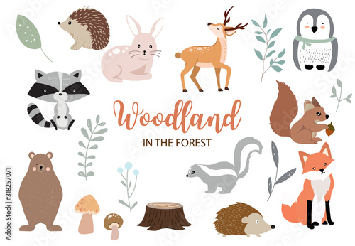 Cute woodland object collection with bear,rabbit,fox,skunk,mushroom and leaves.Vector illustration for icon,logo,sticker,printable