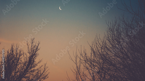 nature and moon phase