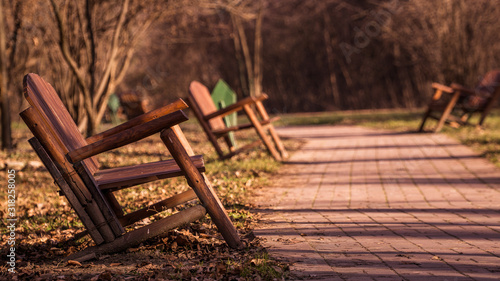 Autumn day in the park