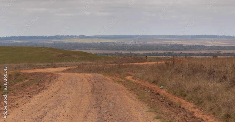 Rural landscapes in the campaign region of the state of Rio Grande do Sul