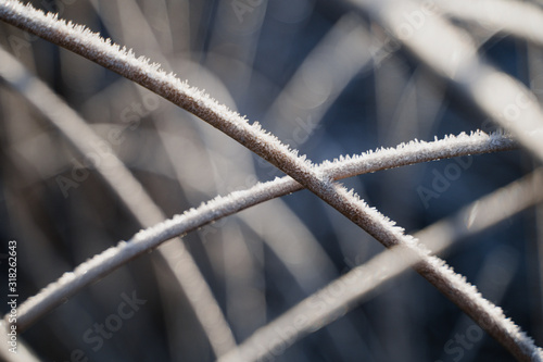 Frost