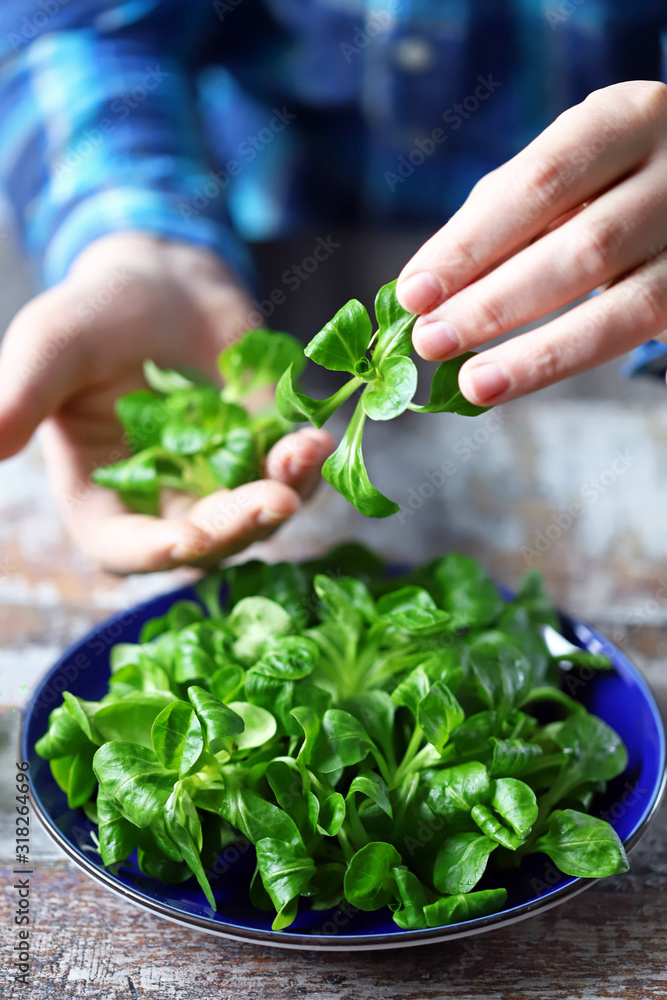 Man's hands put a corn salad on a plate. Chef is preparing a salad. Fresh juicy lettuce leaves. Mash salad. Diet concept. Healthy food. Vegan food. Man's hands put a corn salad on a plate. Chef is preparing a salad. Fresh juicy lettuce leaves. Mash salad. Diet concept. Healthy food. Vegan food.
