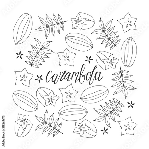 Carambola lettering. Hand drawn poster. Stock vector illustration.