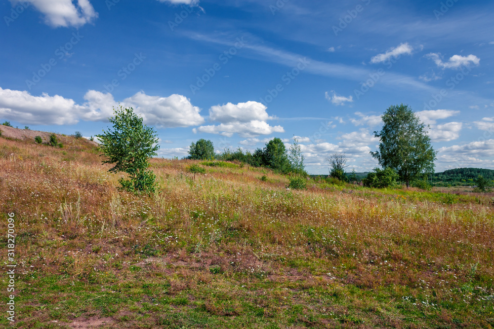 Summer landscape. Meadow with field grasses on a slope against a background of blue sky and white clouds. Summer landscape. Meadow with field grasses on a slope against a background of blue sky and white clouds.