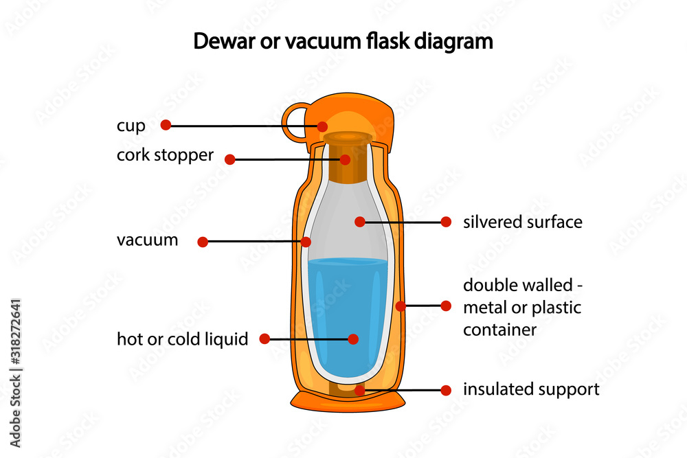 Dewar or vacuum flask fully diagram isolated on white background. Cross  section cut away view of a thermos vacuum flask. Diagram showing vacuum  flask layers. Dewar flask or thermos. Stock vector Stock
