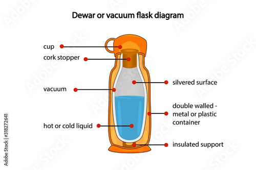 Dewar or vacuum flask fully diagram isolated on white background. Cross section cut away view of a thermos vacuum flask. Diagram showing vacuum flask layers. Dewar flask or thermos. Stock vector