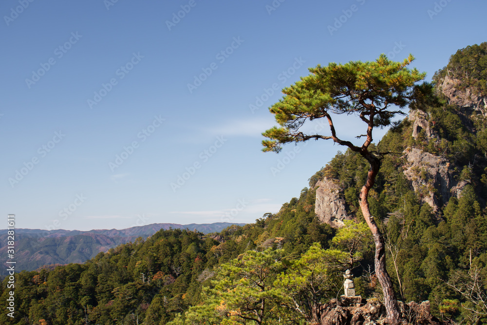 一本松 Stock 写真 | Adobe Stock