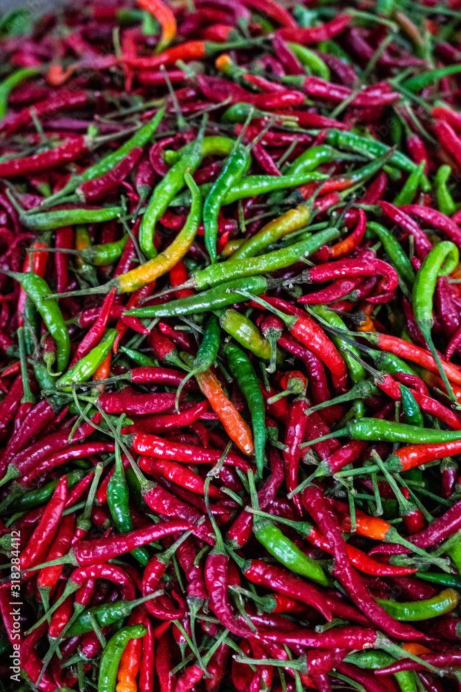 Red and green hot chili peppers Red and green hot chili peppers