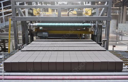 Brick production. New bricks on a conveyor belt at a brick factory. Text space