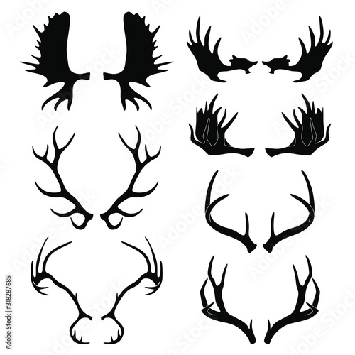 Silhouettes of deer and moose horns. vector illustration isolated on white