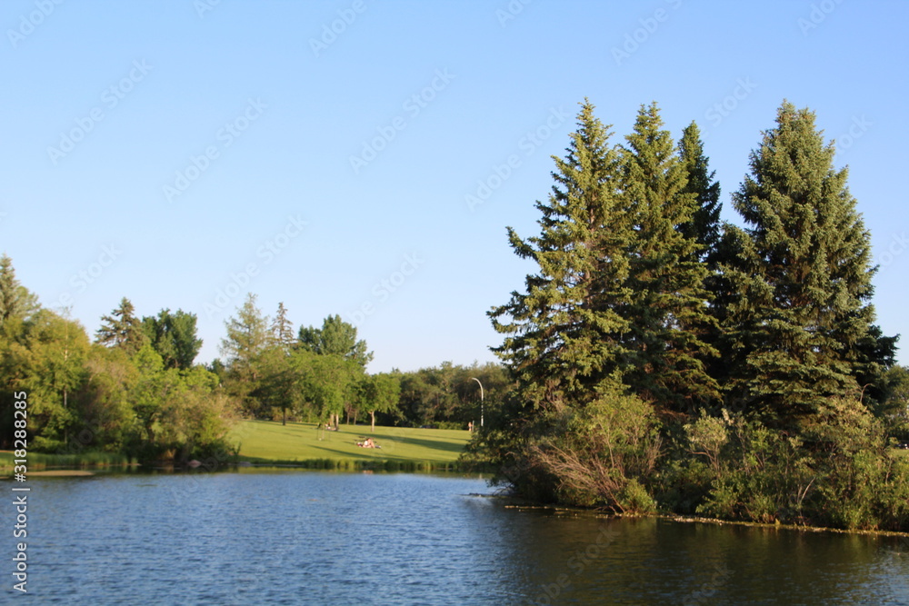 Summer Beauty On The Lake, William Hawrelak Park, Edmonton, Alberta