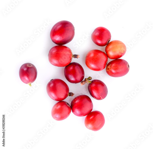 Fresh coffee beans isolated on white background