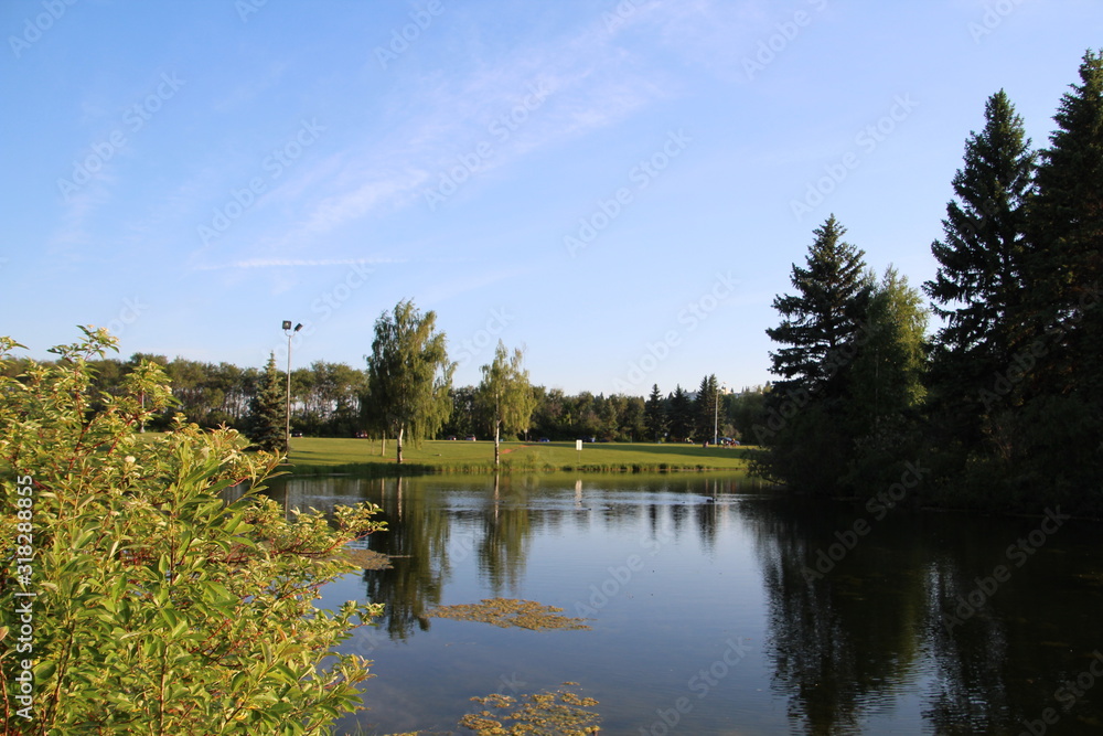 Fototapeta premium Letni wieczór nad jeziorem, William Hawrelak Park, Edmonton, Alberta
