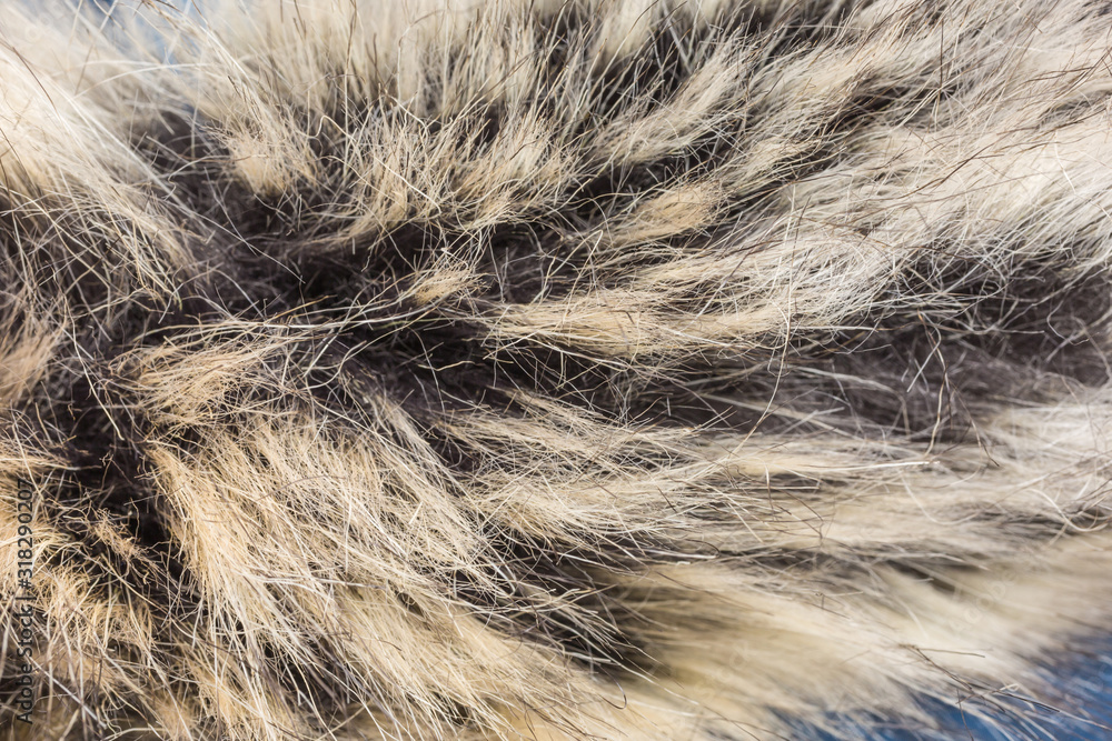 Obraz premium faux fur with hair in black, brown and beige