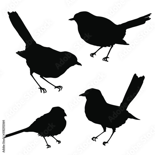 Birds silhouettes. Vector illustration isolated on white