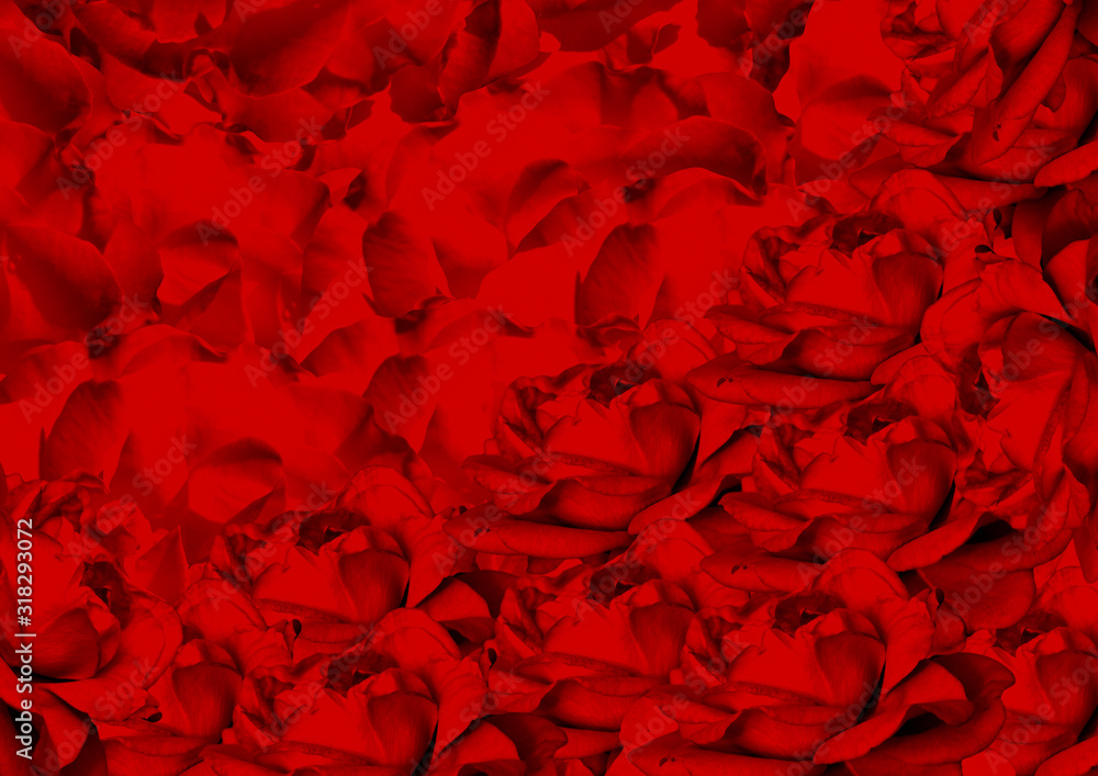 Collage of red rose flowers, horizontal. For use as a phone, cards, backdrops, screensavers, Wallpapers.