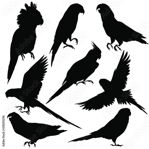 Parrots silhouettes. Vector illustration isolated on white
