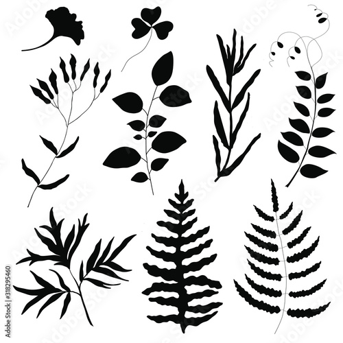 leaves silhouettes. Seamless pattern. Vector illustration