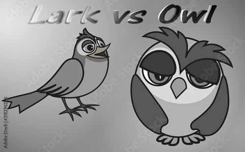 Early Lark versus Sleepy Owl - two chronotypes, vector clip art