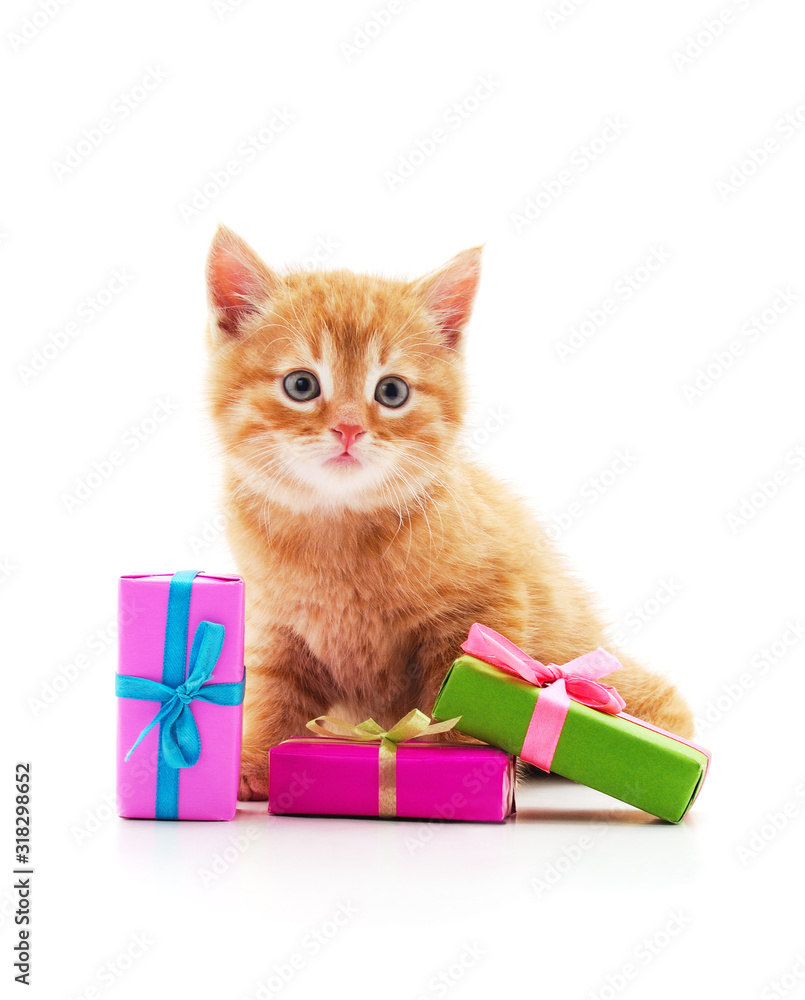 Red kitten with a gifts. Red kitten with a gifts.