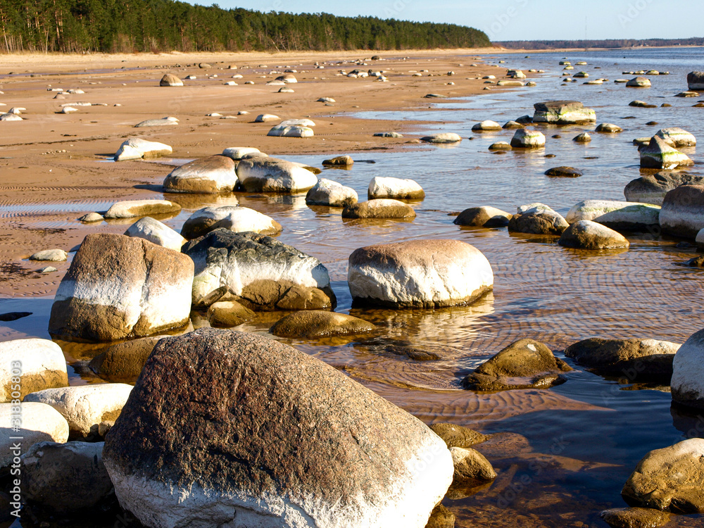 Fototapeta premium sunny landscape with rocky seashore, Vidzeme stony beach, Latvia