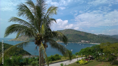 tropical beach with palm trees