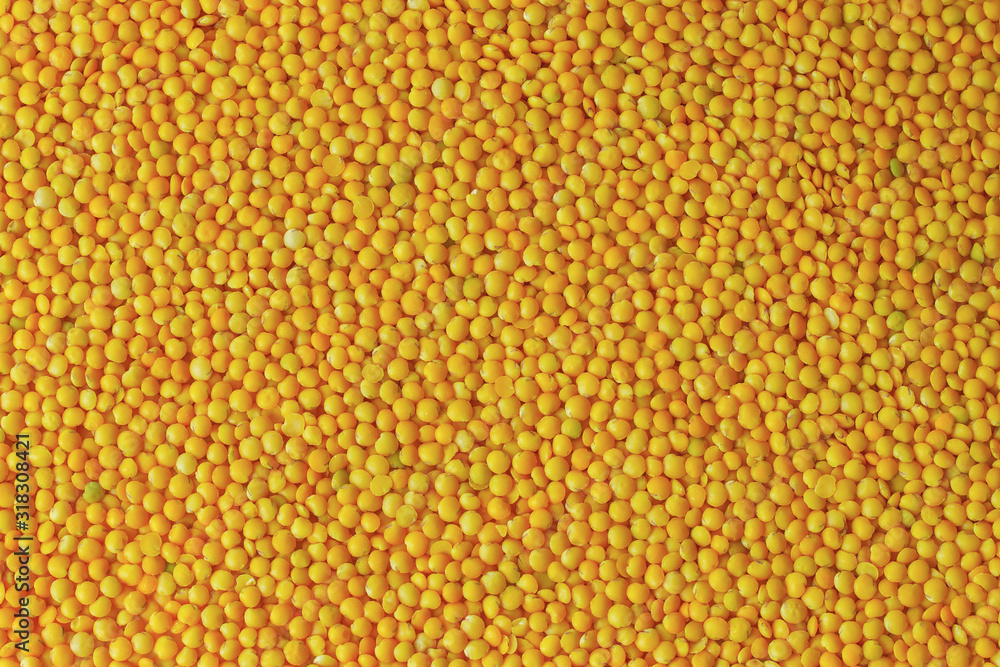 yellow lentils background top view. yellow raw lentils (filling in the picture). yellow lentils background top view. yellow raw lentils (filling in the picture).