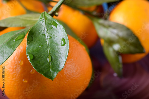 Mandarins with green leaves on the ceramic plate