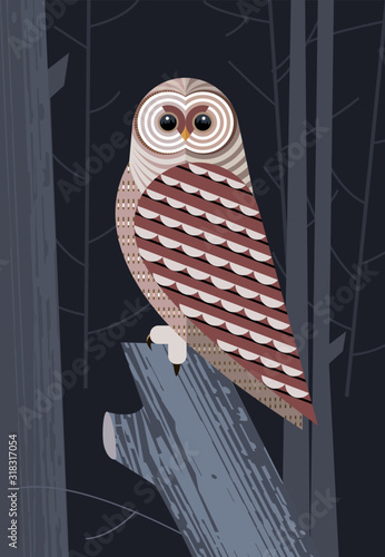 Owl before the hunt