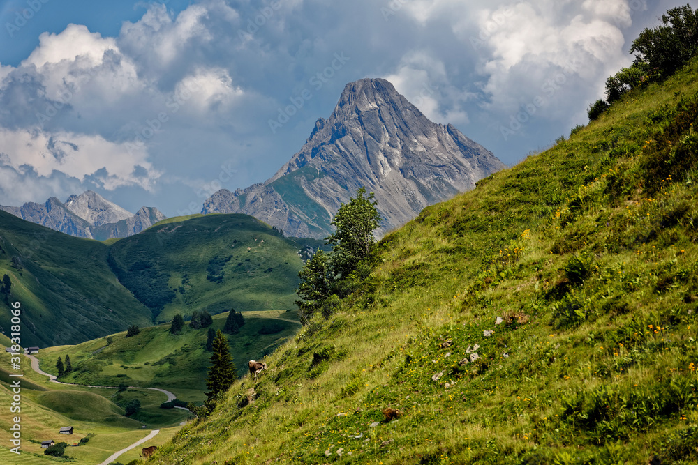 Mountain landscape of Austria
