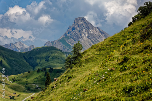 Mountain landscape of Austria