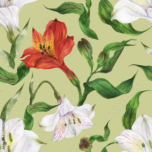 Tropical watercolor seamless pattern with red and white alstroemeria flowers