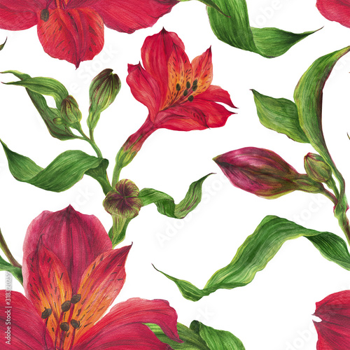 Floral watercolor seamless pattern with red alstroemeria