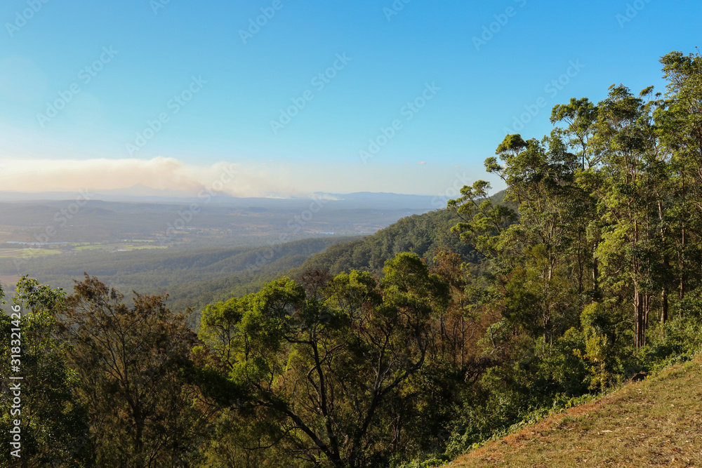 Scenic view from Tamborine mountain with green trees on steep slope