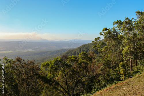 Scenic view from Tamborine mountain with green trees on steep slope