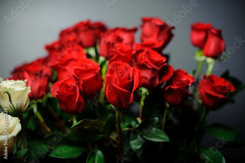 Beautiful bouquet of tall red color roses in the transparent wrapping paper